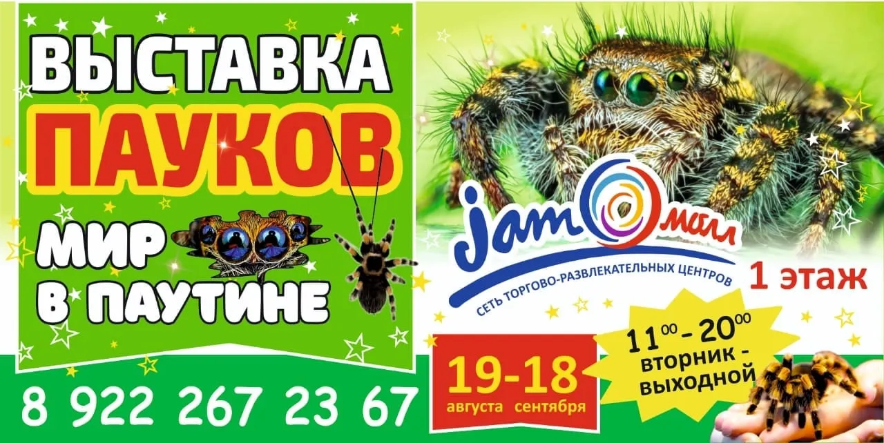 Выставка пауков-птицеедов — Выставки, Ангарск