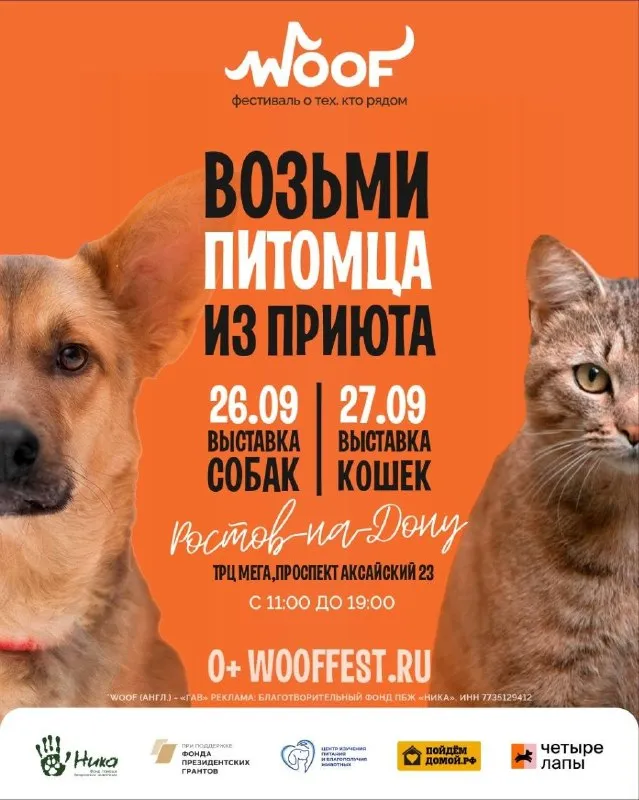 Фестиваль «WOOF FEST» — Фестивали и ярмарки, Ростов-на-Дону