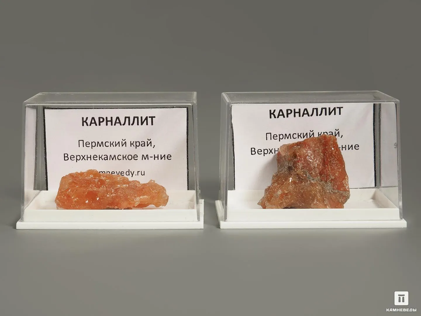Выставка «Даёшь карналлит!» — Выставки, Соликамск