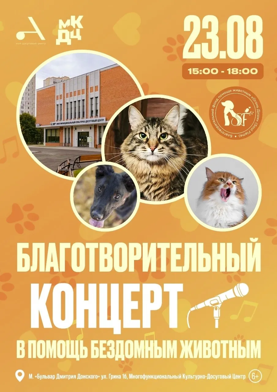 Благотворительный концерт в пользу приюта для животных — Волонтёрство, Череповец