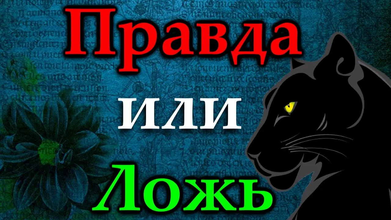 Викторина «А где правда?» — Квесты и игры, Владимир