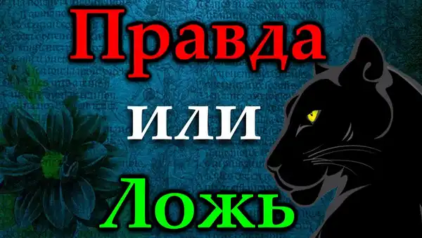 Викторина «А где правда?» — Квесты и игры, Владимир