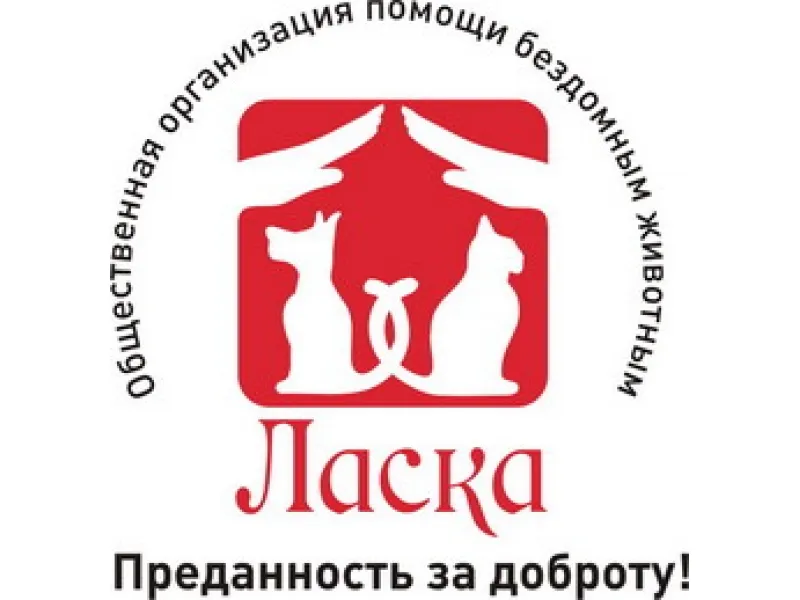 Познавательная программа с питомцами приюта «Ласка» — Волонтёрство, Барнаул