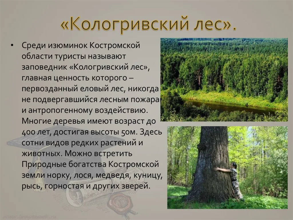 Лекция «Как устроена Костромская область и что влияет на её развитие?» — Мастер-классы и обучение, Кострома