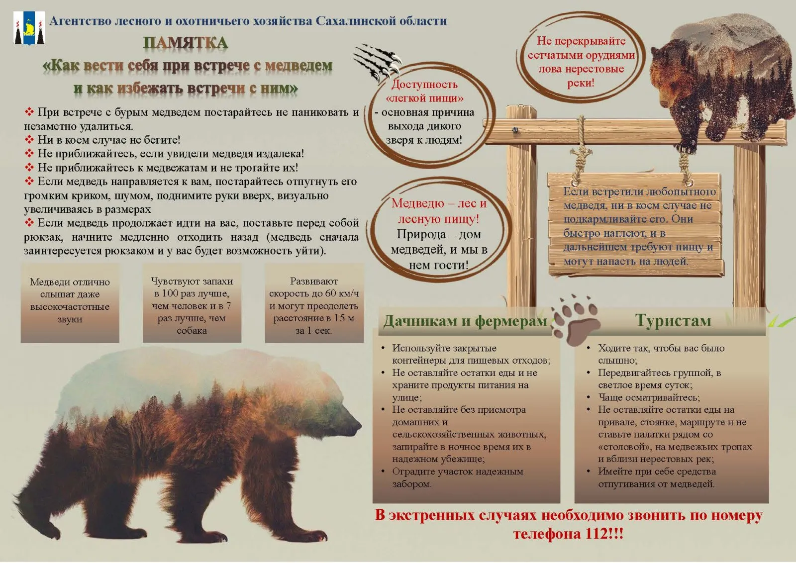 Мастер-класс «Семинар для педагогов о безопасности при встрече с медведями» — Мастер-классы и обучение, Южно-Сахалинск