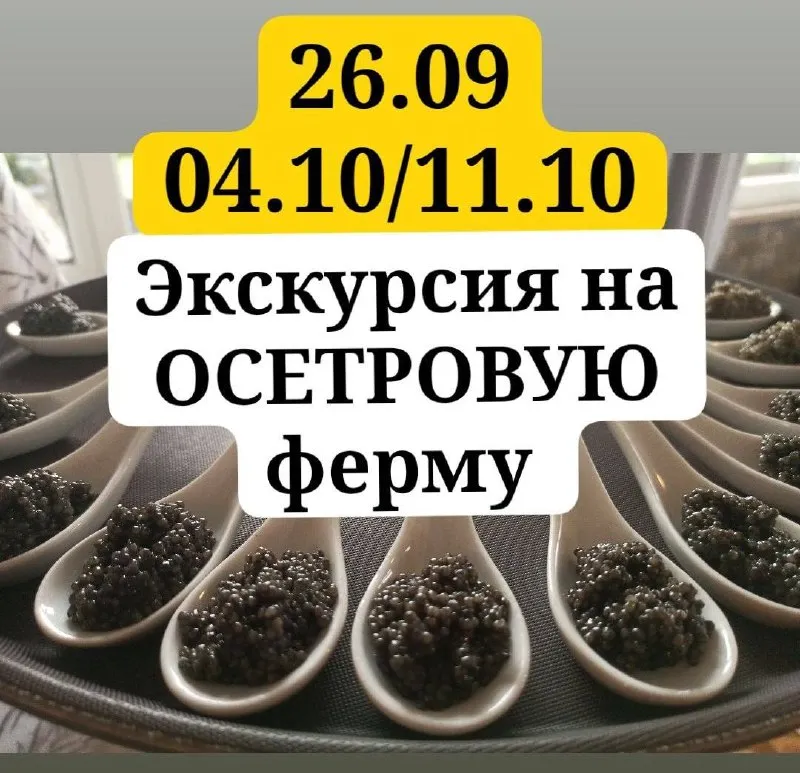 Экскурсия «Икра, улитки, осетрина» с дегустацией — Экскурсии и прогулки, Калининград
