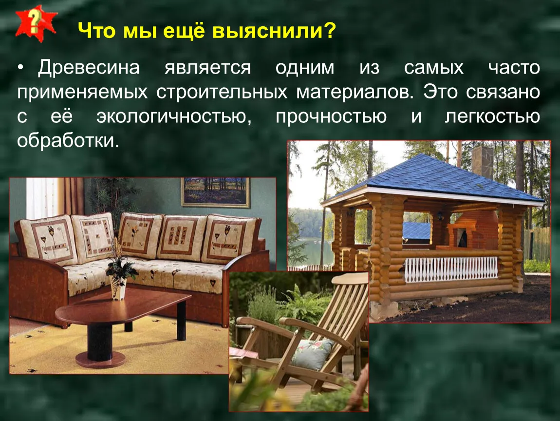 Тематическая беседа «Древесина в жизни Воронежа» — Экскурсии и прогулки, Воронеж