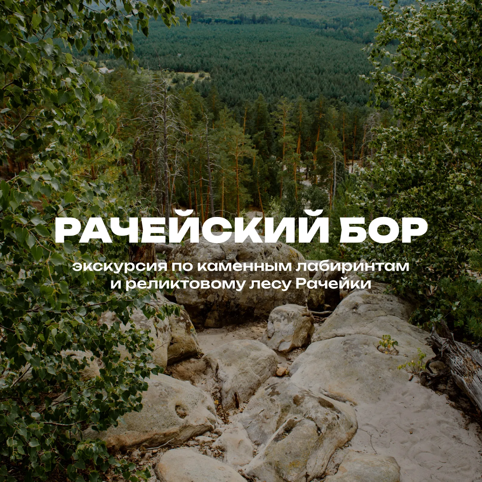 Экскурсия «Рачейский бор и Каменный лабиринт» — Экскурсии и прогулки, Тольятти