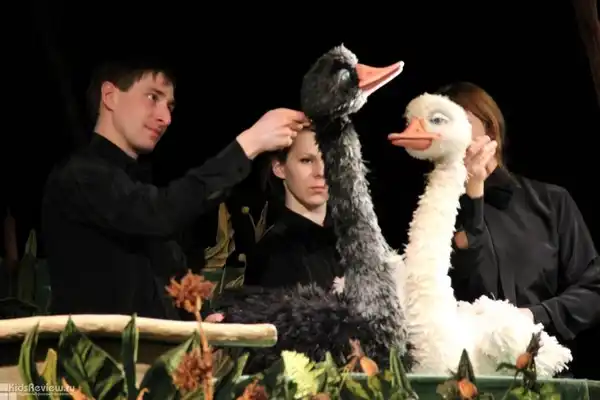 Спектакль «Дикий» — Театры и кино, Воронеж