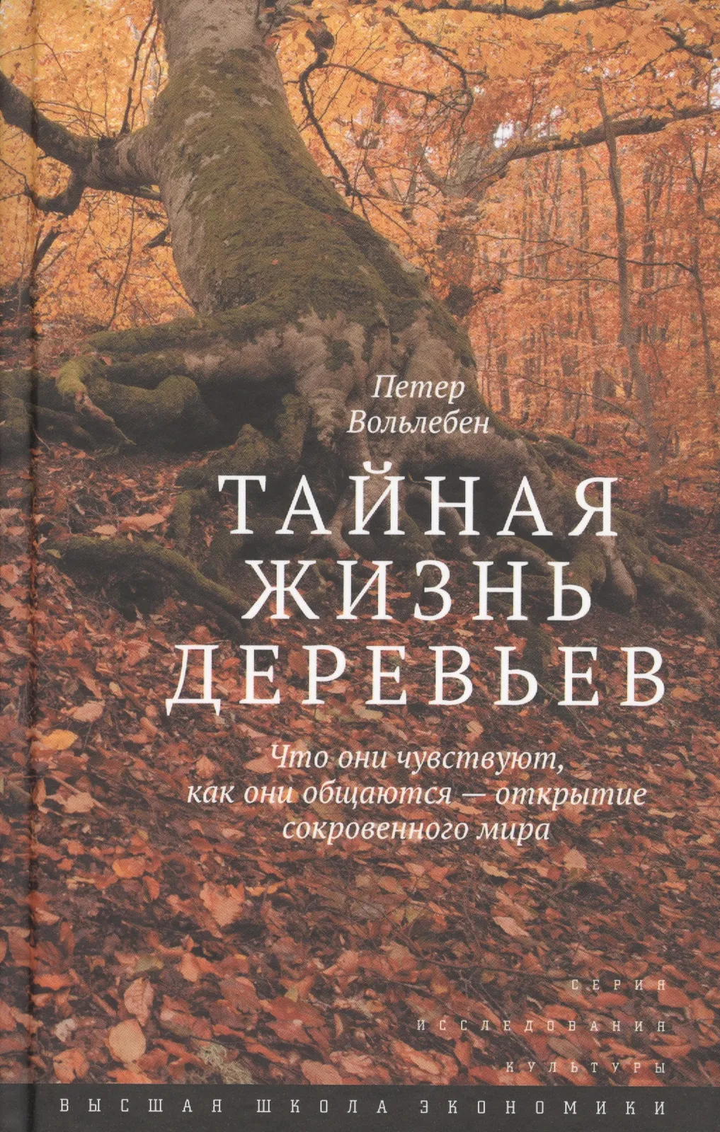Практикум «Тайная жизнь деревьев» — Мастер-классы и обучение, Екатеринбург