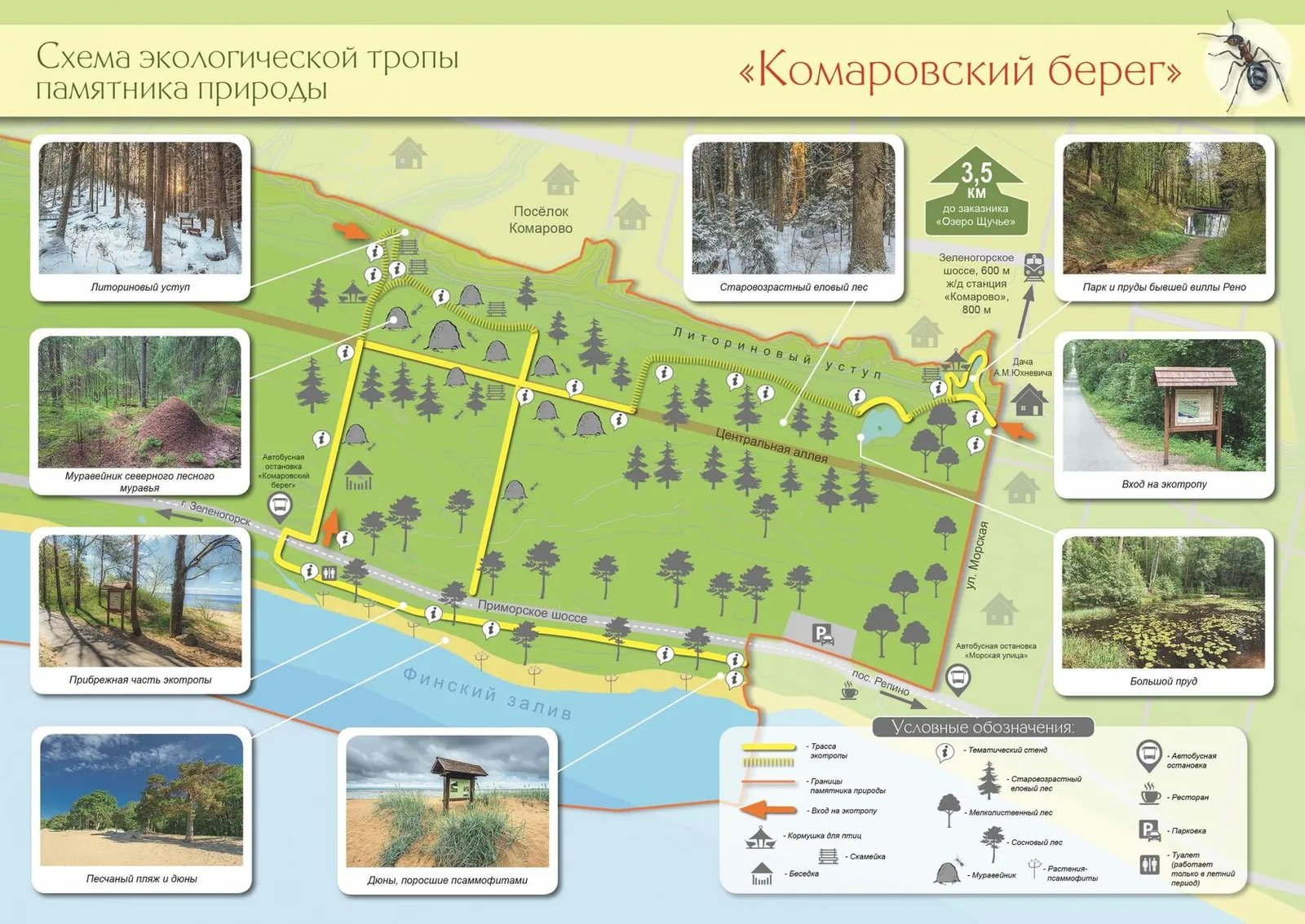 Экотропа «Озерная» в Комарово — Туризм и походы, Санкт-Петербург