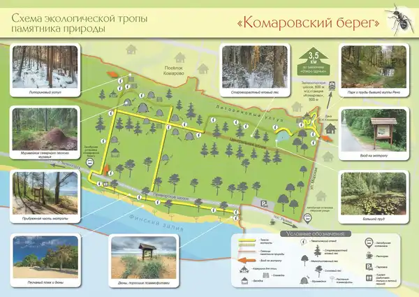 Экотропа «Озерная» в Комарово — Туризм и походы, Санкт-Петербург