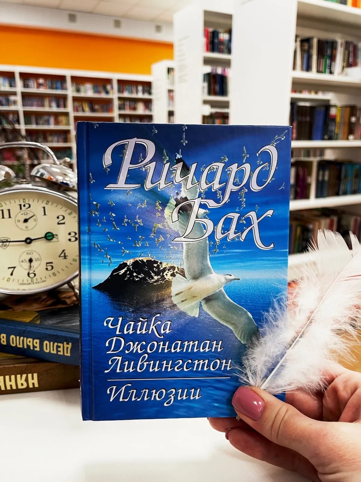 Клуб чтения нонфикшена «Умные люди»: обсуждение повести Ричарда Баха «Чайка» — Встречи и вечеринки, Краснодар