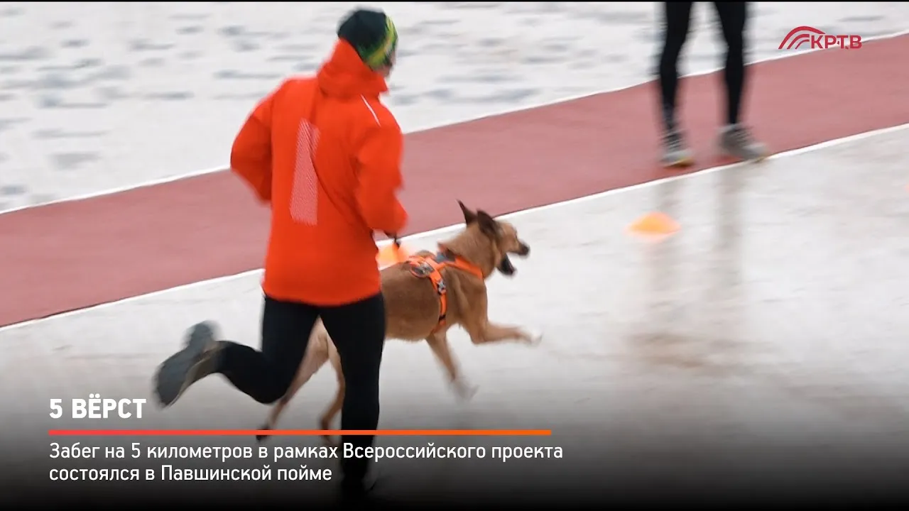 Еженедельный бесплатный забег на 5 км от движения «5 вёрст» — Спорт и активный отдых, Химки