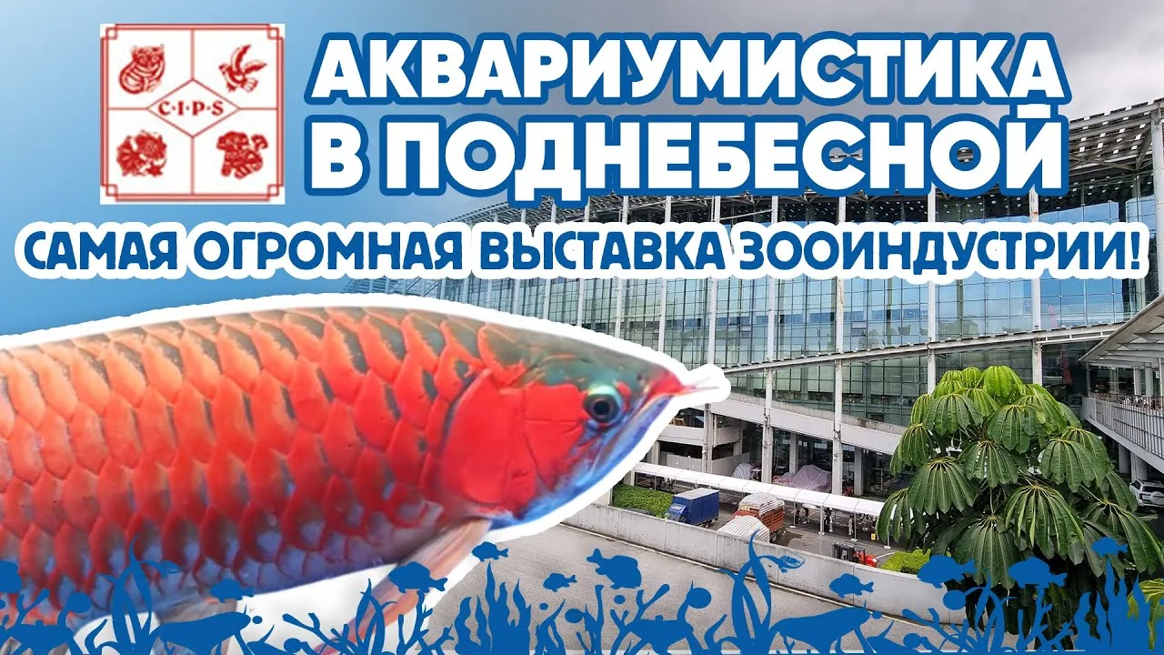 Выставка «Из Поднебесной на Кубу через Рязань» — Выставки, Рязань