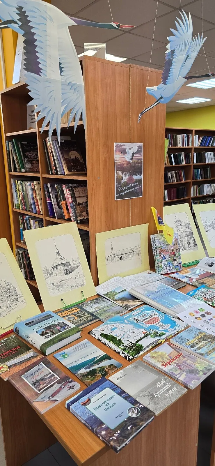 Краеведческая лекция «По родной земле на птичьем крыле…» в Библиотеке №9 — Другое, Санкт-Петербург