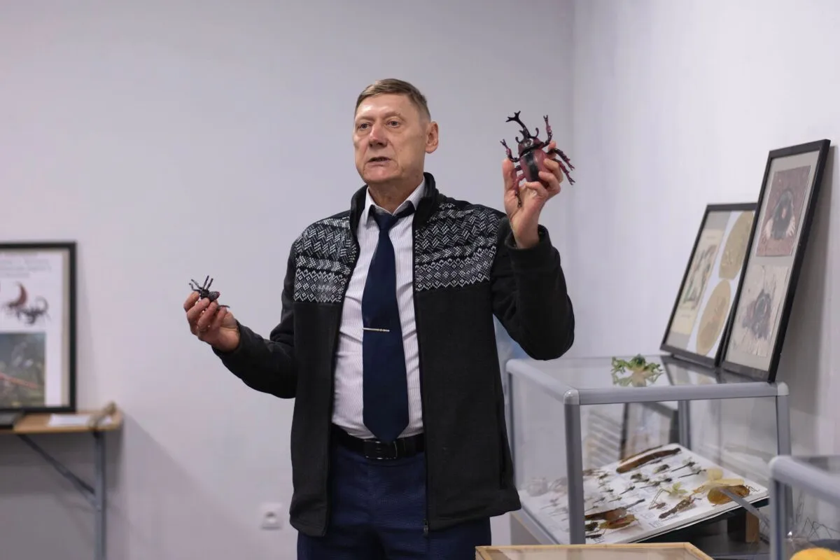 Лекторий и выставка «Насекомые: тайный мир» — Выставки, Норильск